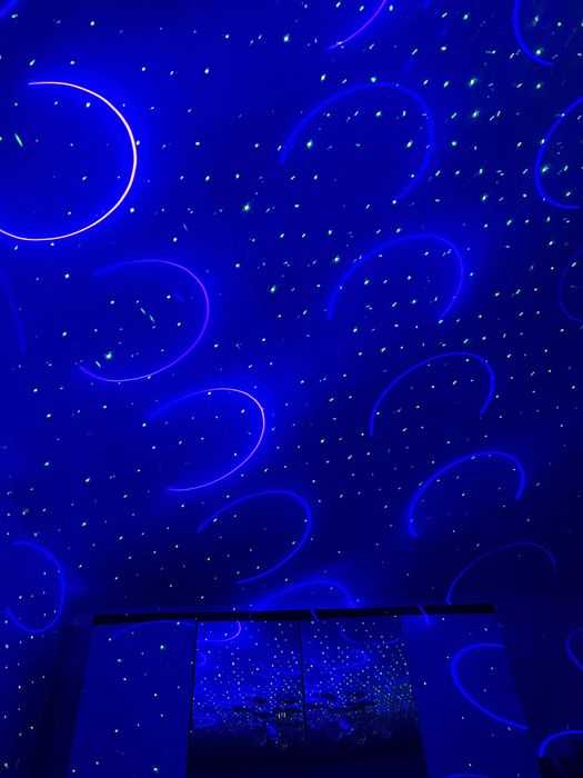 Света  музыка