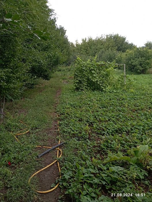 Продам дачу  срочно