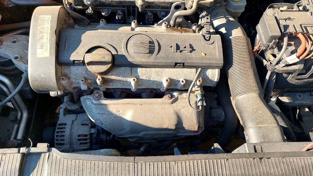 Seat       ibiza