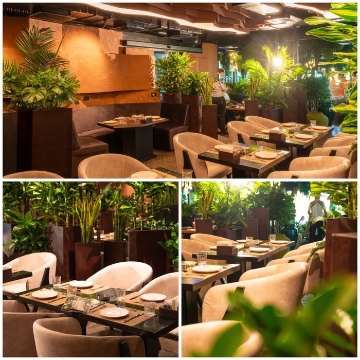 Фотограф в Ташкенте