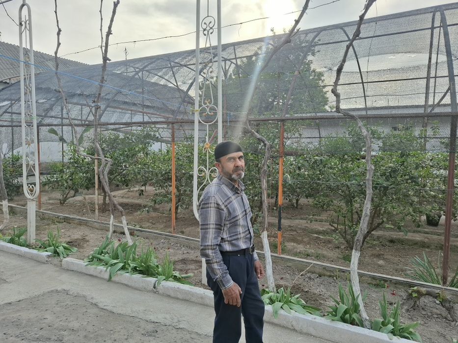 Issiqxona qurish hizmati