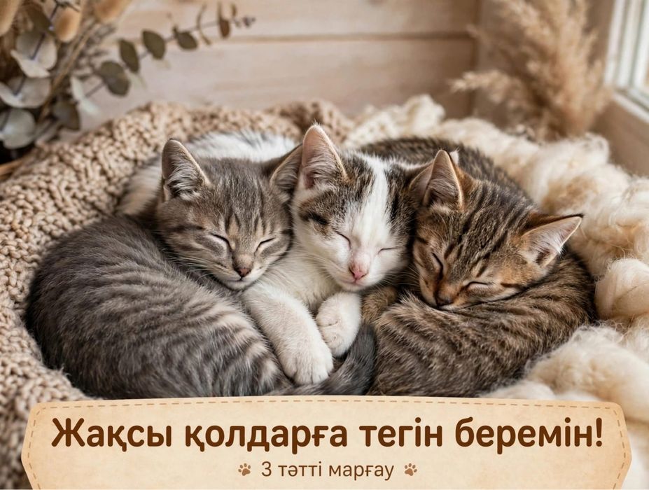 3 девочка отдам бесплатно