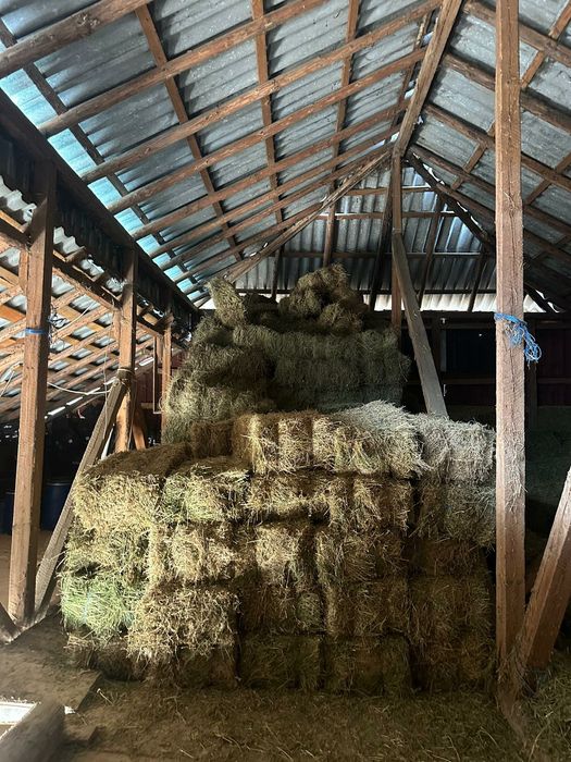 Vand baloti lucerna și fân