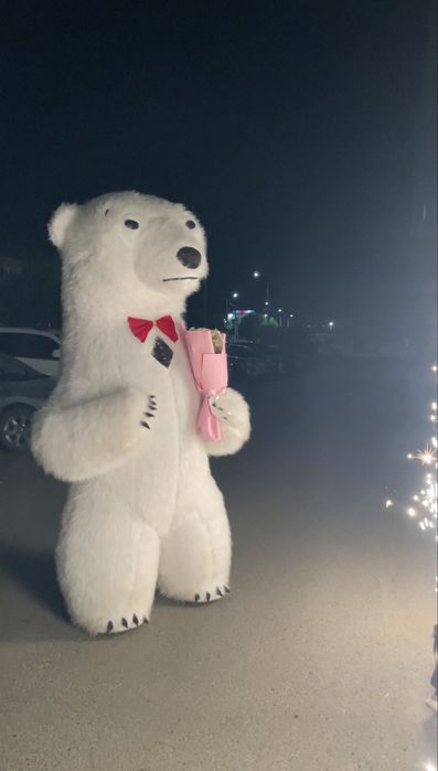 Поздравления от мишки Умки. Праздники. Аниматоры