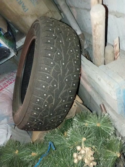 Продам шины на R15