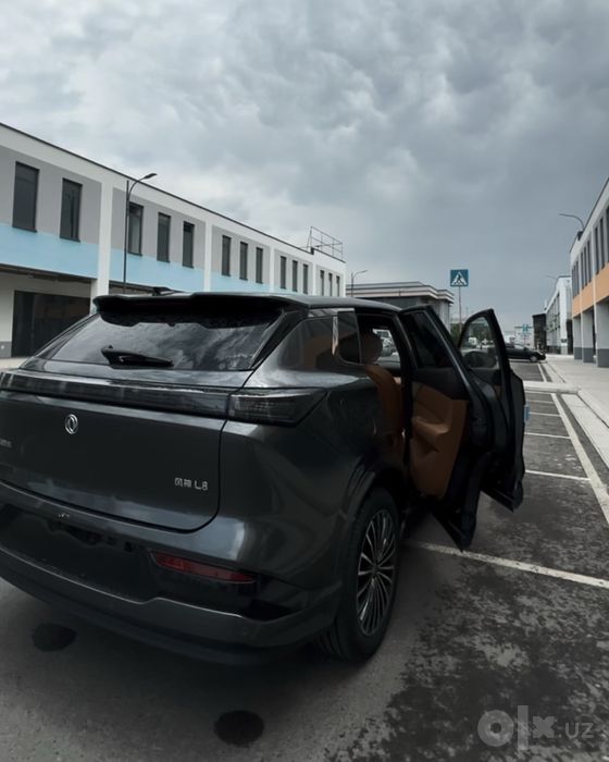 Dong Feng aeolus L8