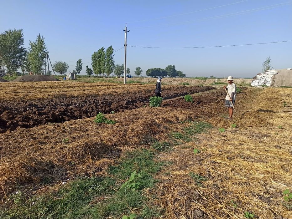 Биогумус натуральный, хорошего качества. По оптовым ценам! Скидка!