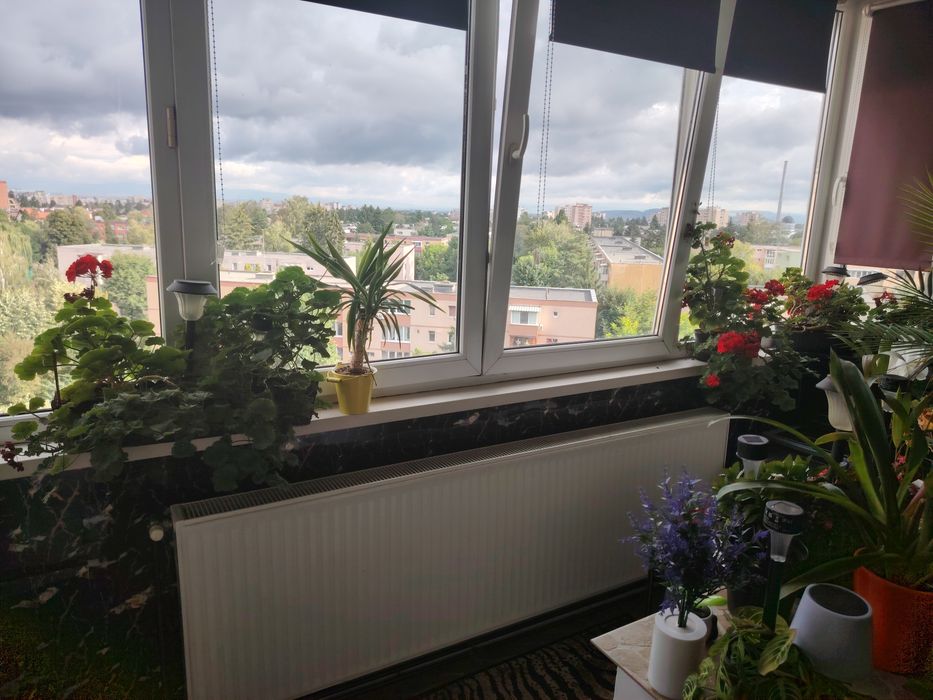 Apartament de vanzare