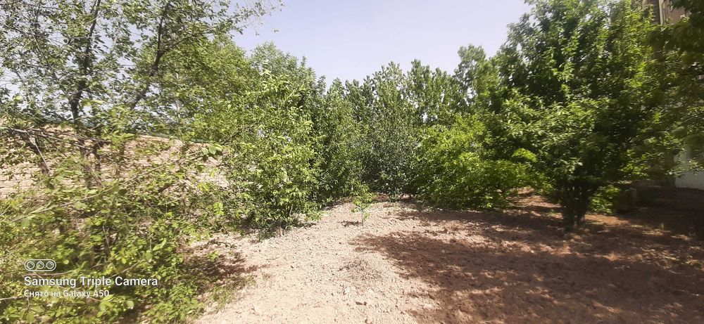 Участок 10 соток