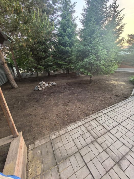 Посадка газона, подготовка грунта