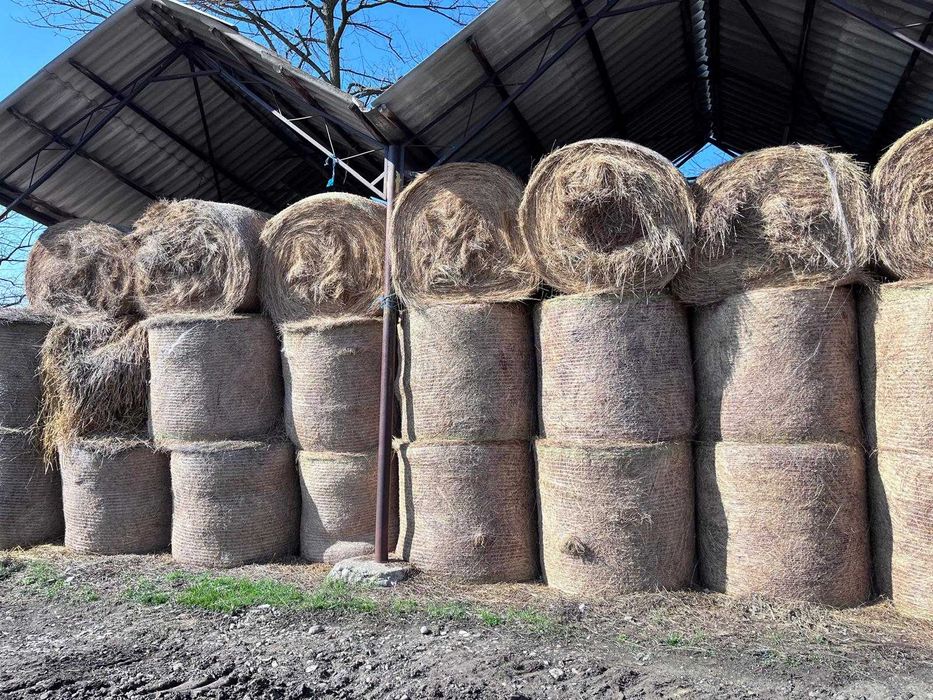 Baloți rotunzi de fân 140x120