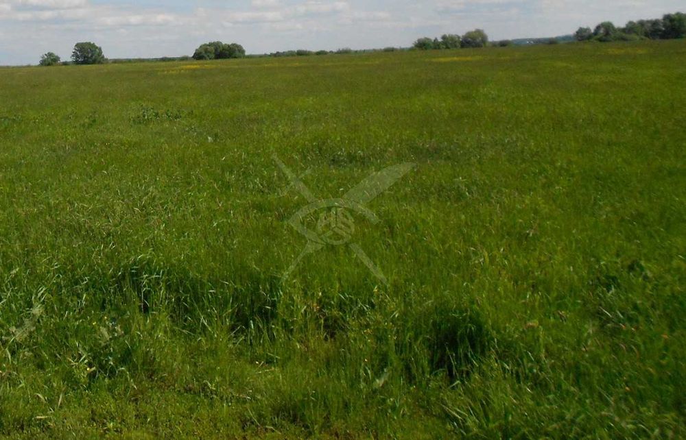 Парцел Първенец 85960