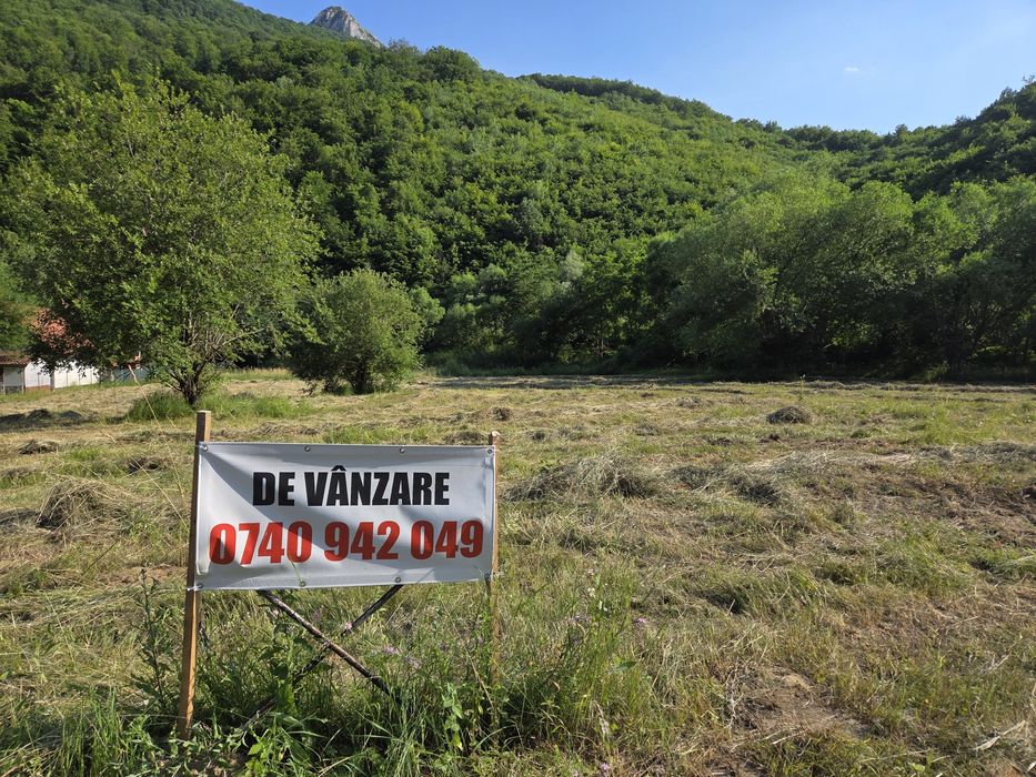 vând teren Poiana Galdei