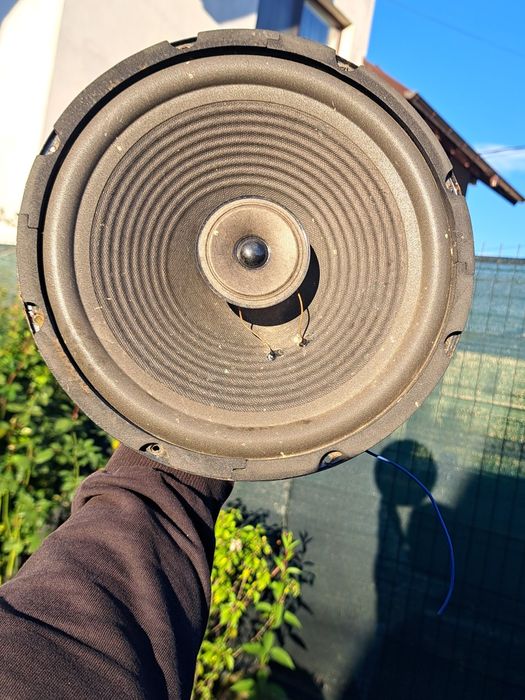 Difuzoare 10 inch  akai X10