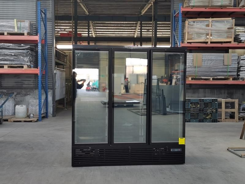 Vitrina frigorifica verticala cu 3 usi - Maxima 3DR / Refrigerare