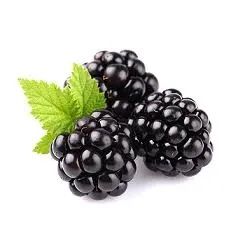 Mure thorn free fără spini