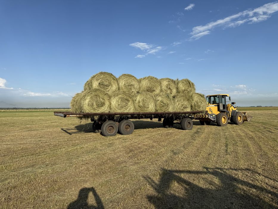 Продам сено луговое