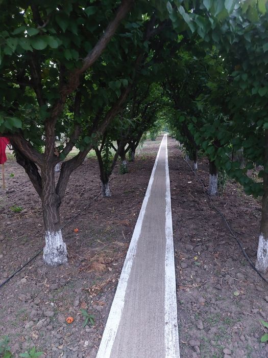 Vand casa cu teren in sat Varsatura com Chiscani