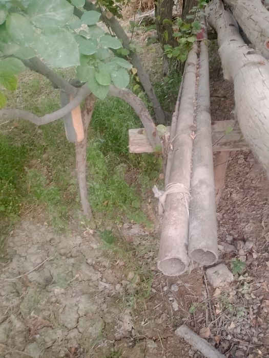 Xolati yaxshi sngʻi yoʻq