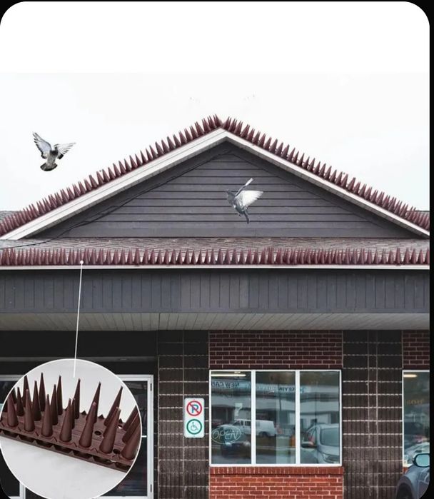 Противоприсадные Шипы от птиц