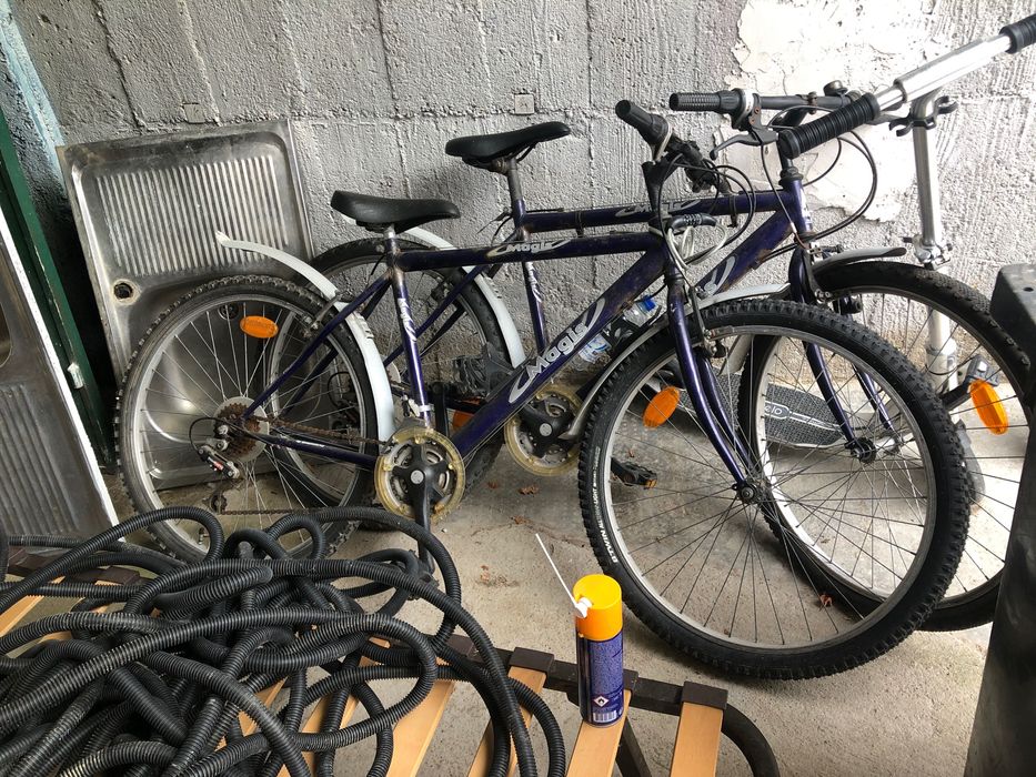 Biciclete Magis, VTT si o trotineta Adulți