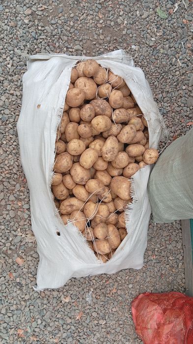 Продается Картошка ДОСТАВКА ПО ГОРОДУ