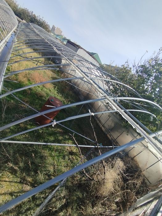 Теплица сатамын . Багасын келысемыз