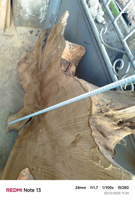 Шайба от корен от орех