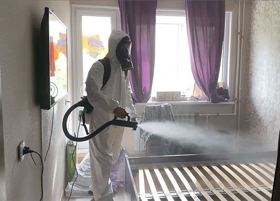 Уничтожение клопов и тараканов