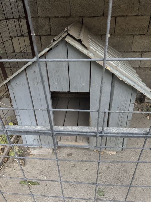 Вольер с конурой для собак