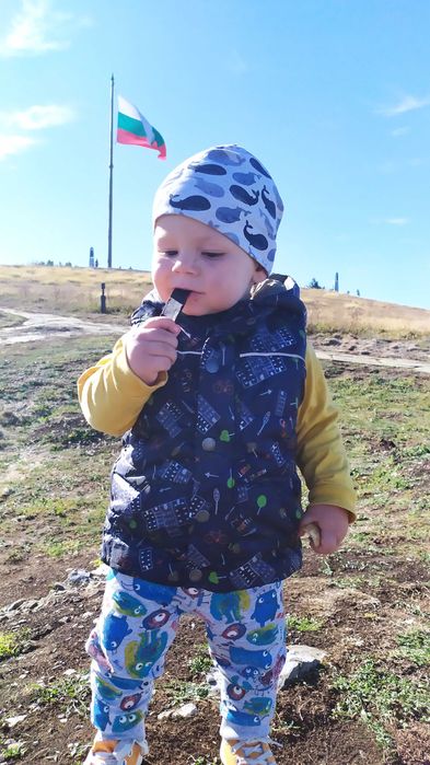 Пестил от сини сливи , ябълки, кайсии , круши , смокини и дюли.