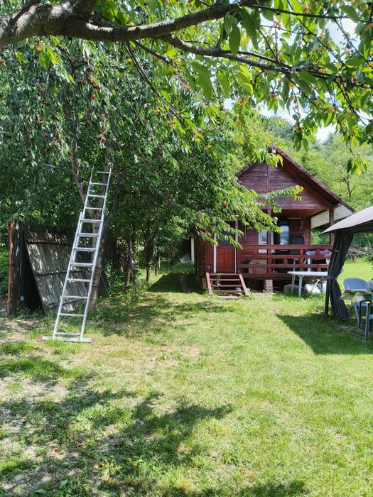 Vând teren intravilan