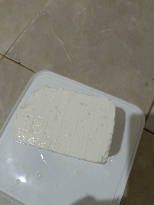 Прясно краве сирене