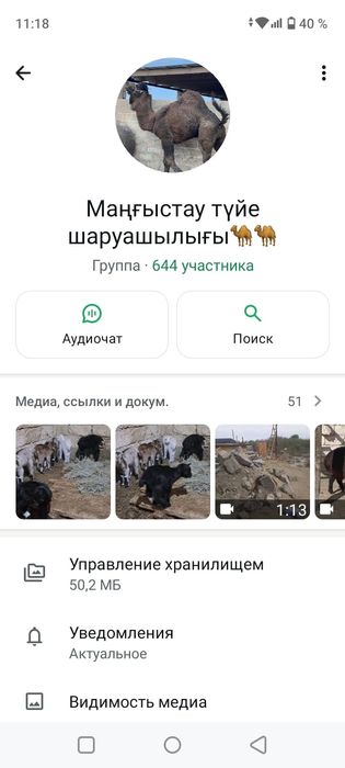 Ассалаумагалеикум туие группа бар