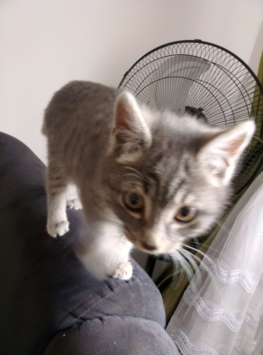 Ишим добрый ручки