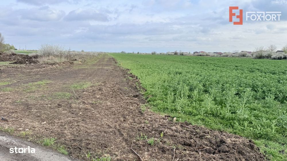 Parcela de teren intravilan de vanzare, 502 mp - Sacalaz