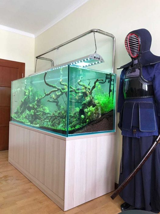 Аквариум вашей мечты «под ключ»
