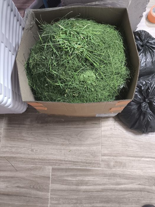 Гидропонной корм