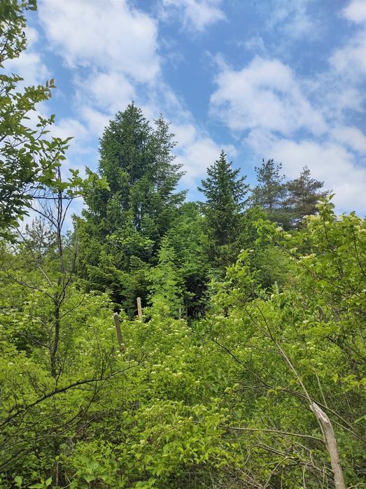 Панорамен парцел 511м2 с УПИ