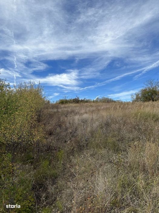 Teren intravilan 5246 mp – Malu Rosu, Ceptura – acces drum principal