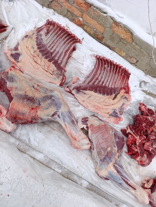 Продам мясо конина таичик