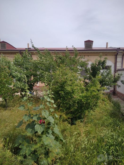 2 sotixli 3 xonali katej sotiladi
