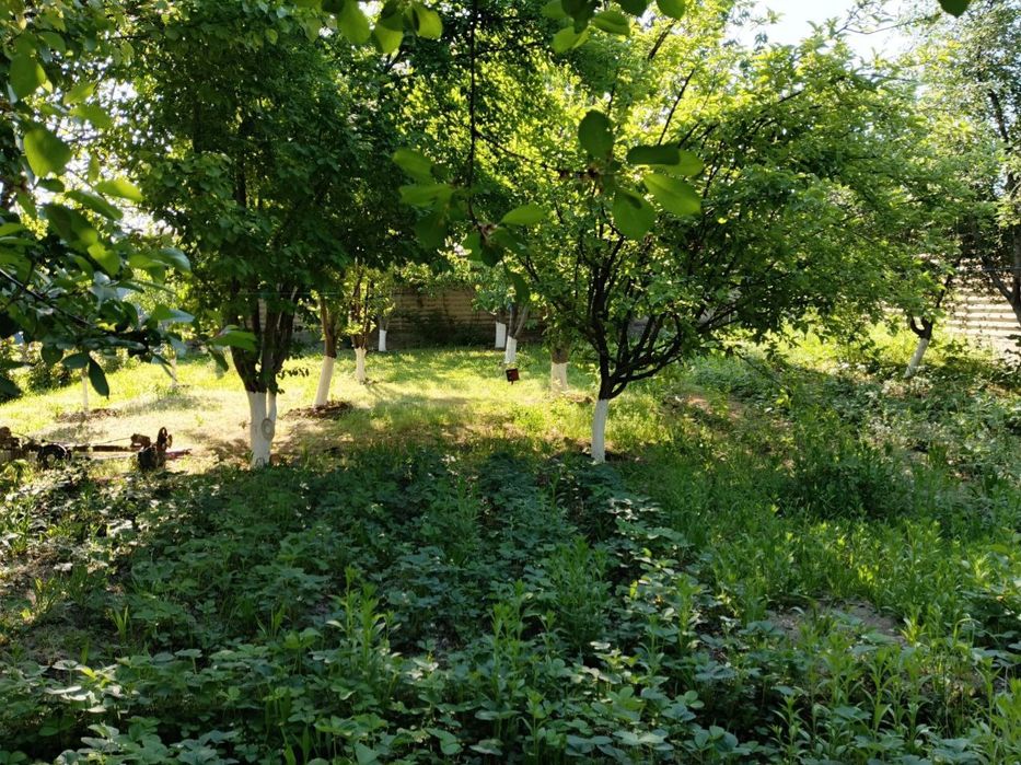 СРОЧНО! Сотилади 3 сотих