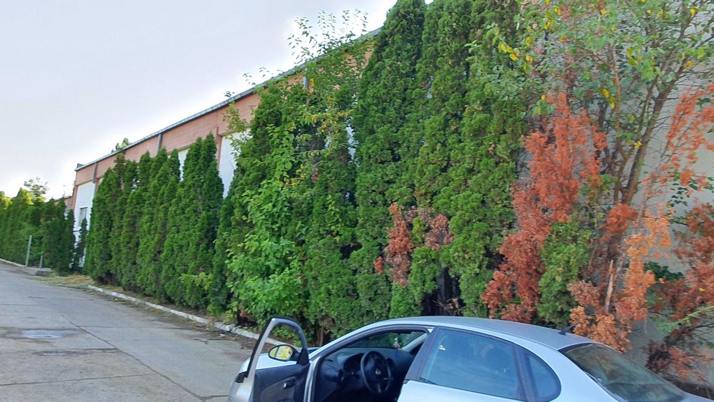 Hale depozit/productie 120 mp pana la 2308 mp Pret 5 euro/mp