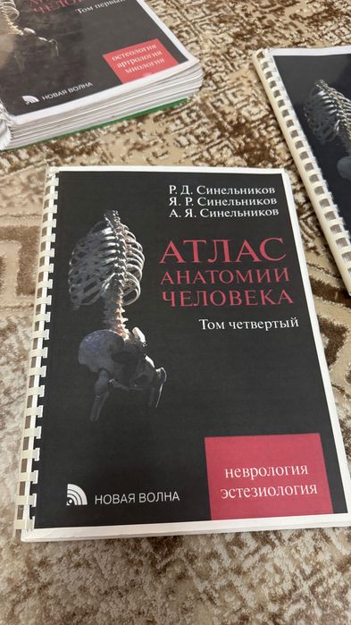 Атлас анатомии человека Синельников