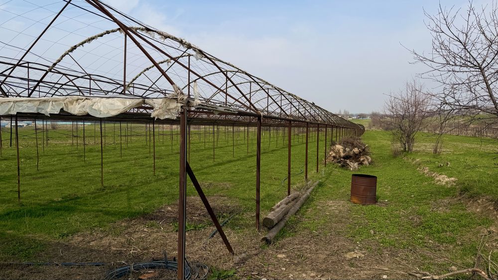 Теплица 50 соток ,продается под разбор