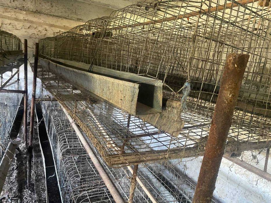 800 бош товук учун ин ( катак )  сотилади. Tovuq in ( katak ) sotiladi