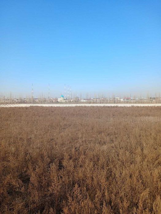 35 соток в центре города