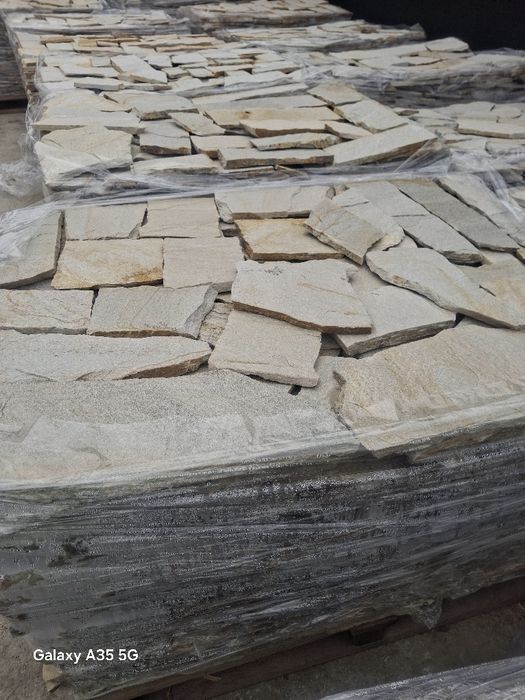 Vând plante ornamentale la preț mic