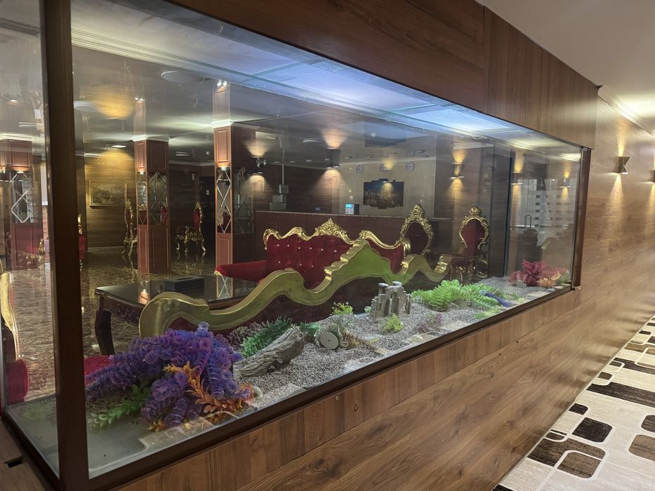 Аквариум продам срочно